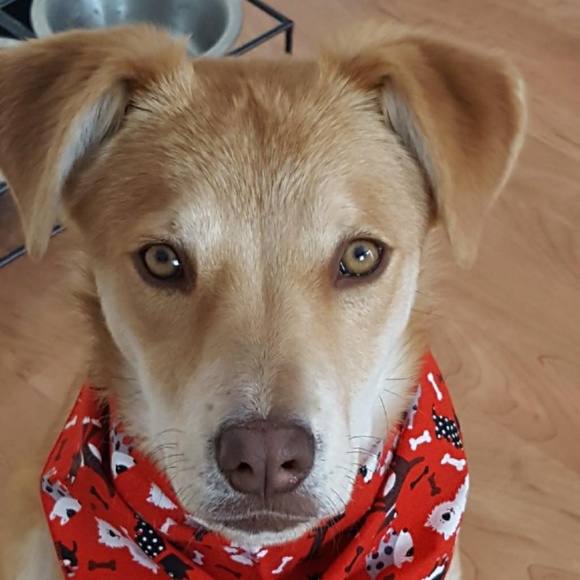 Meet your Posher, Natalie - Picture 1 of 1